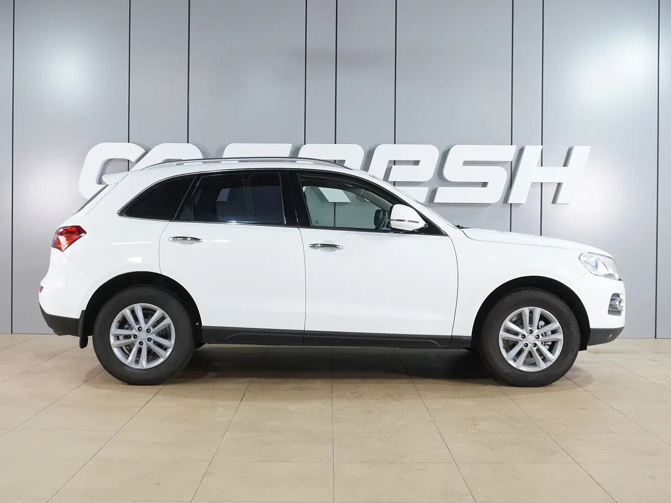 Zotye
