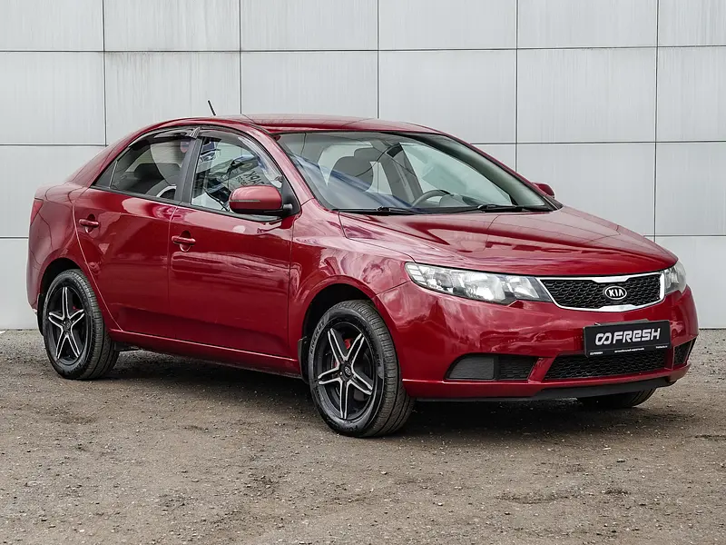Cerato