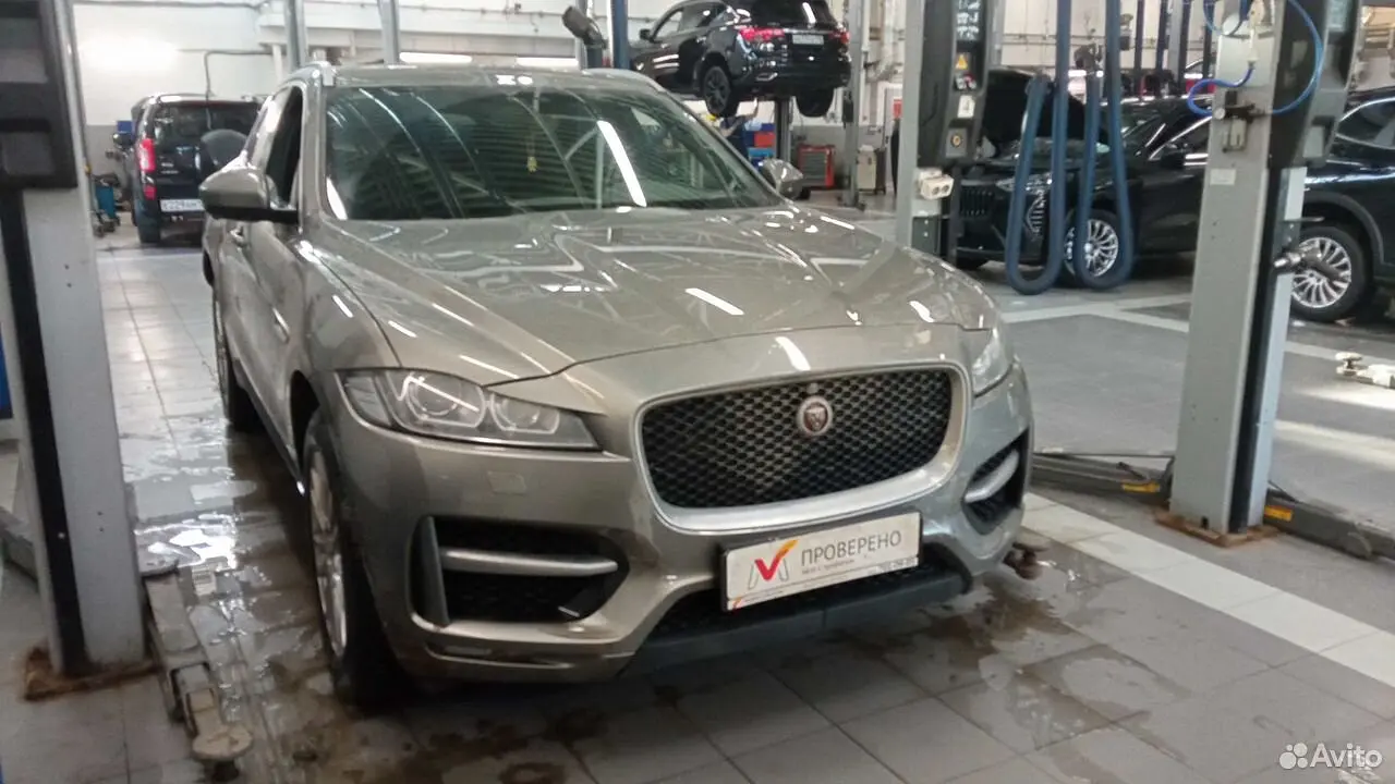 Jaguar