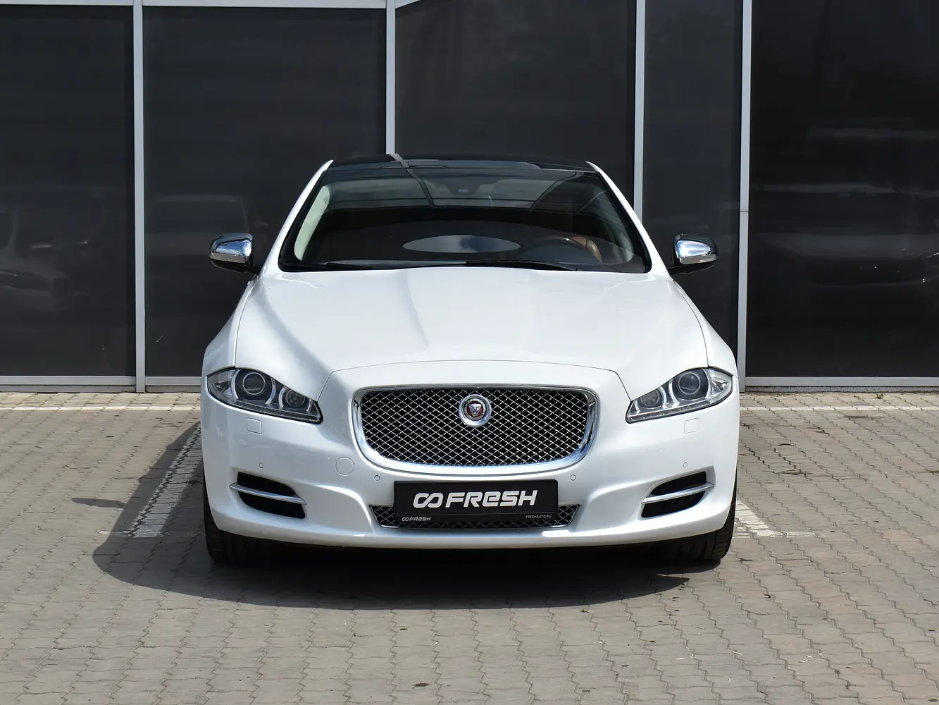 Jaguar