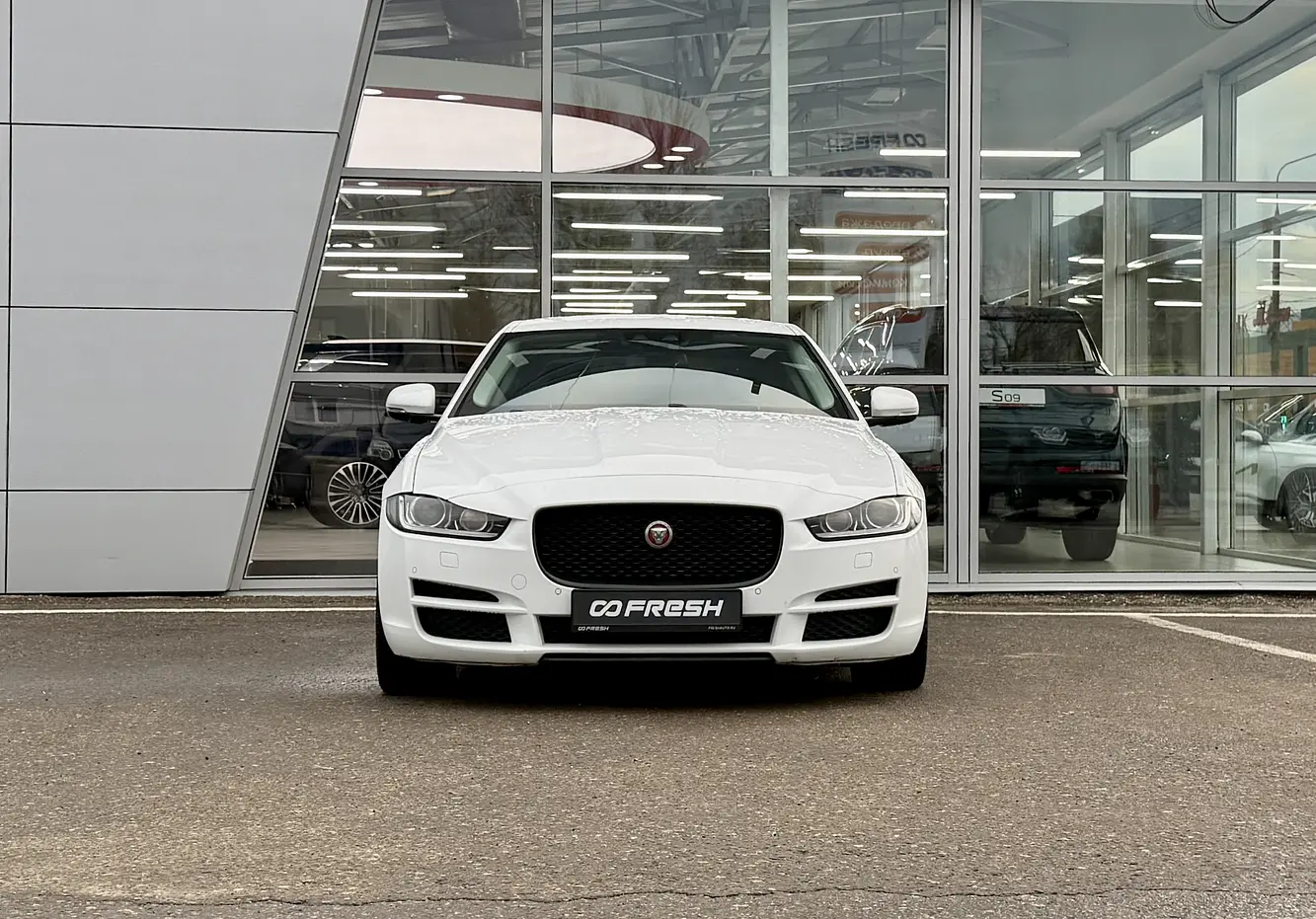 Jaguar