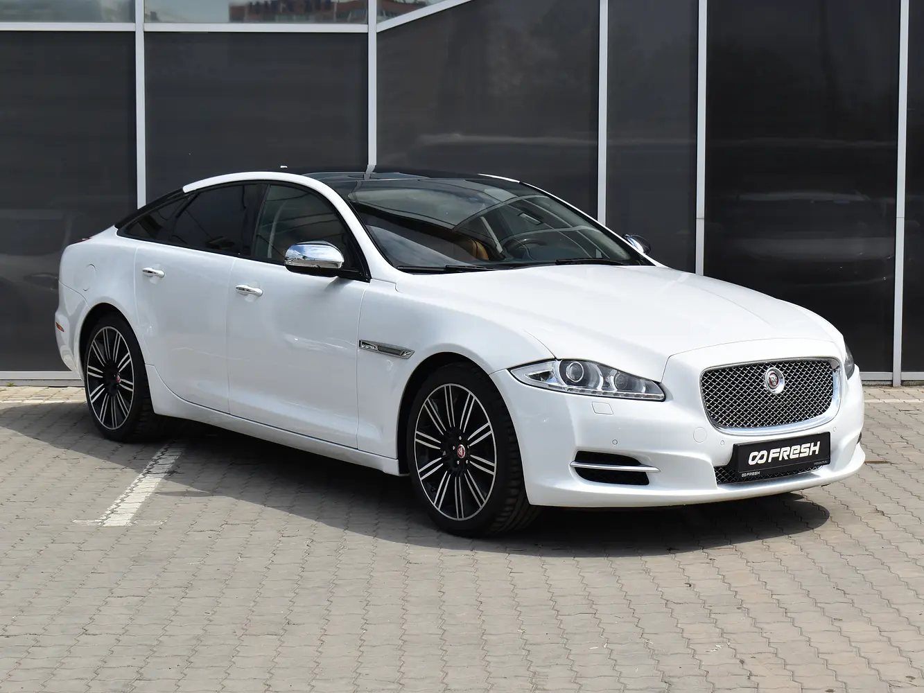 Jaguar