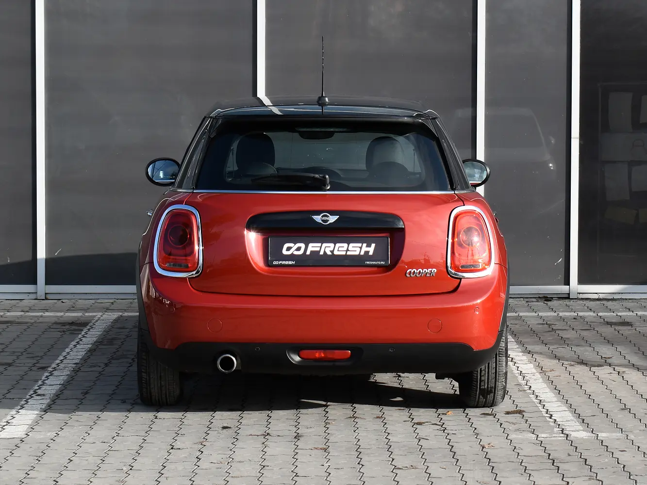 MINI