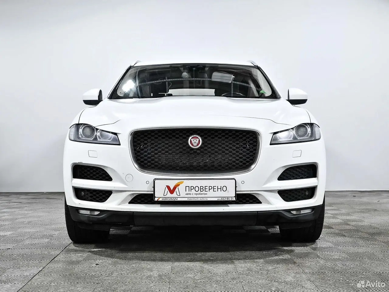 Jaguar