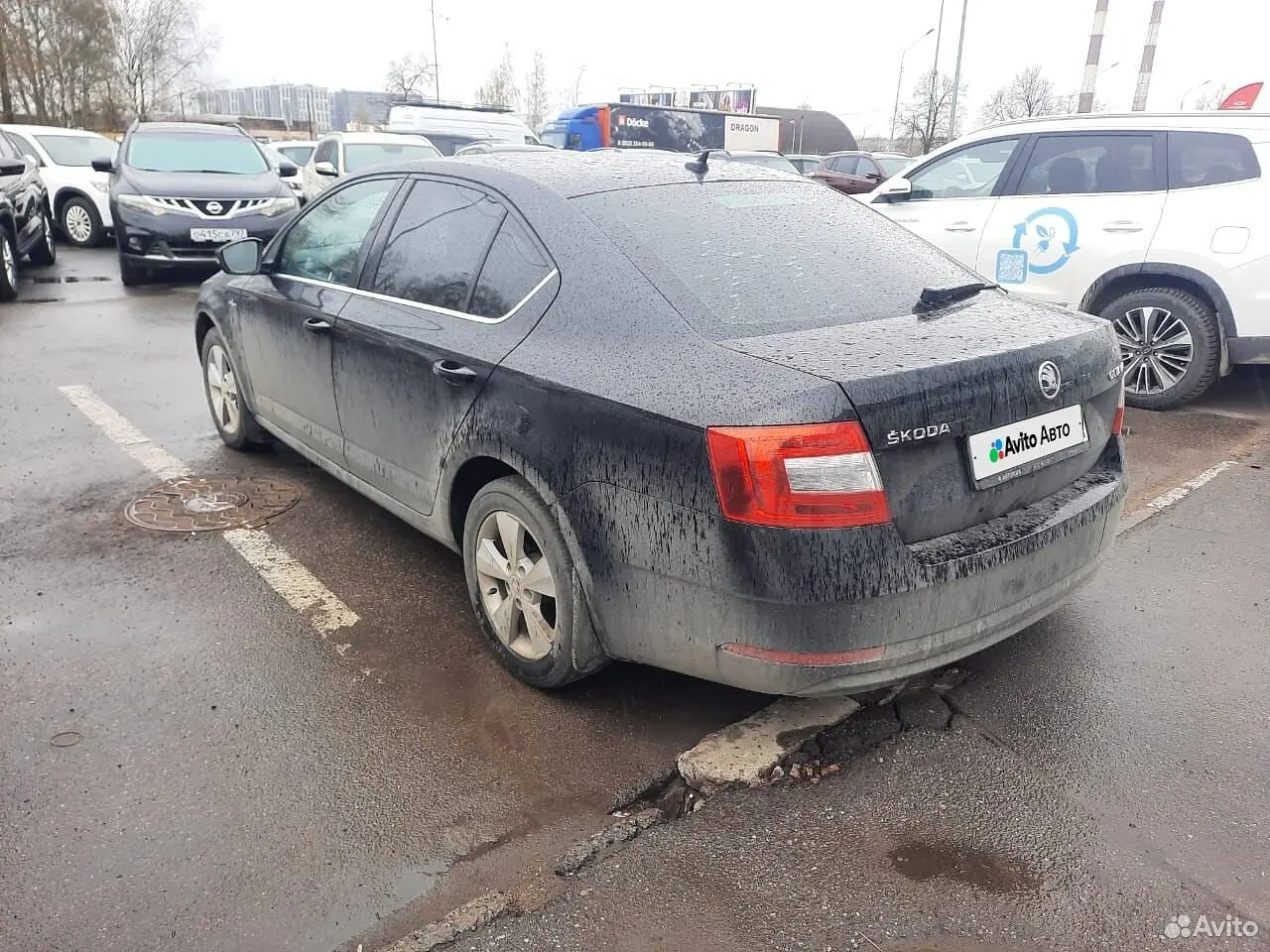 Skoda