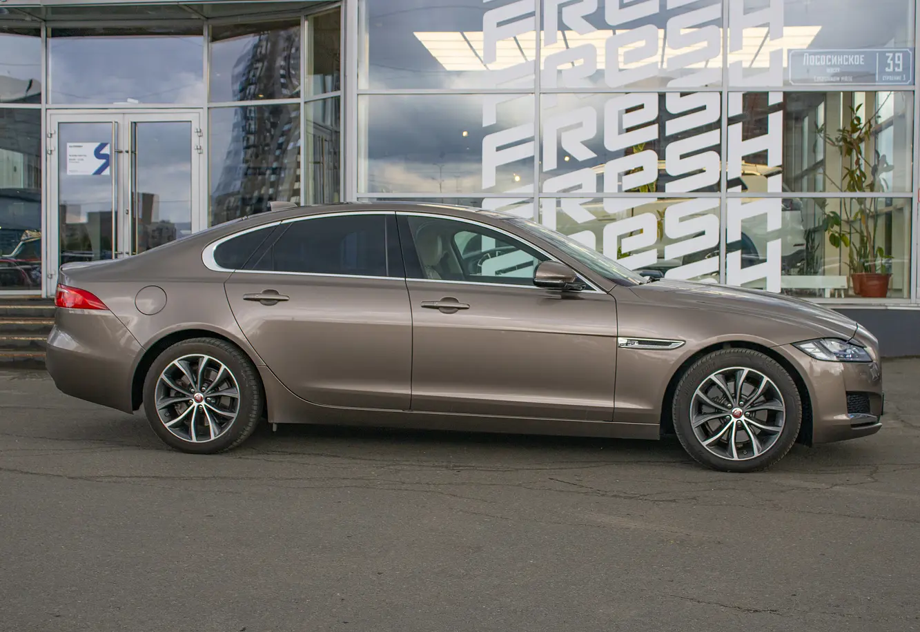 Jaguar