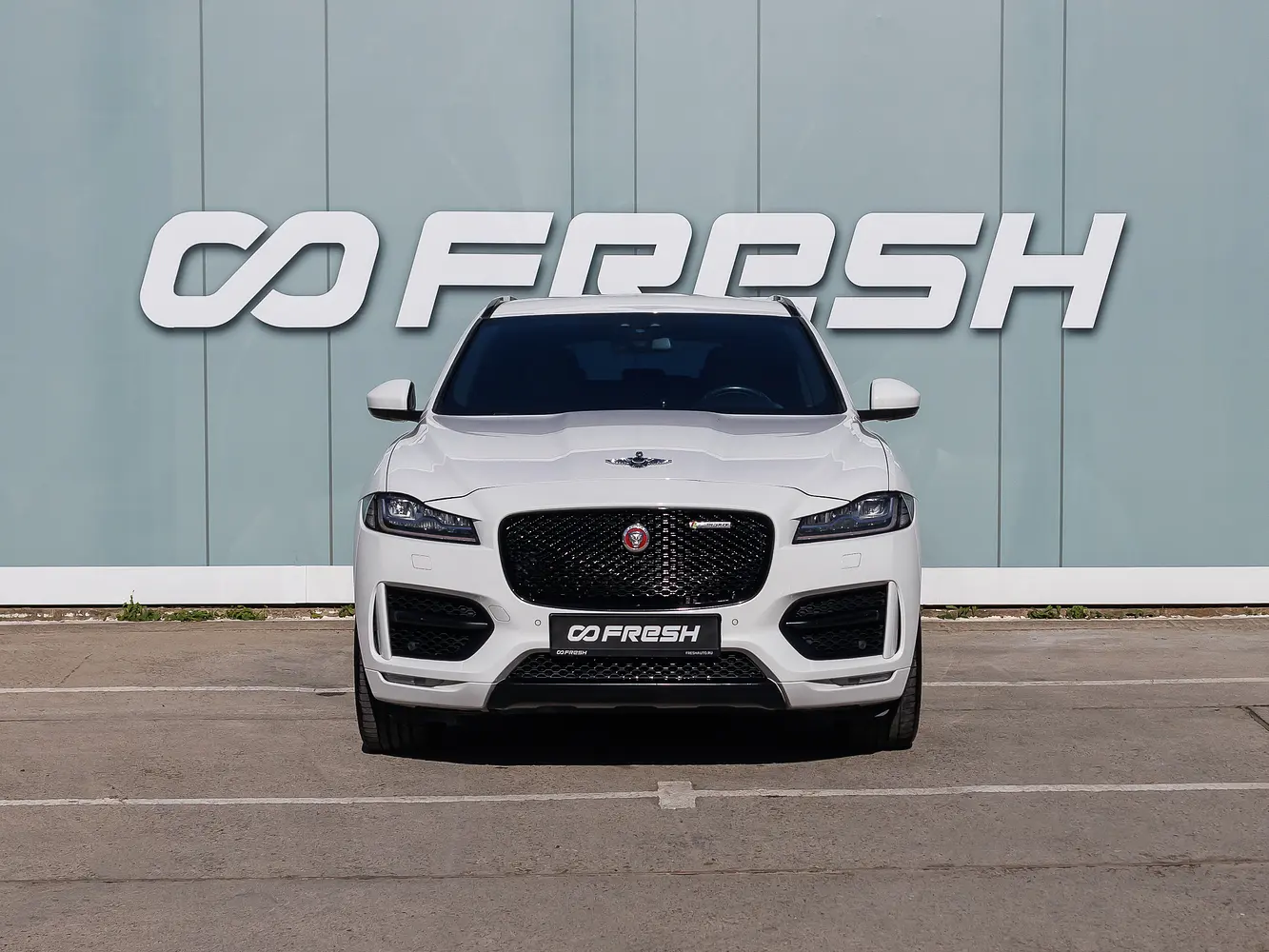 Jaguar