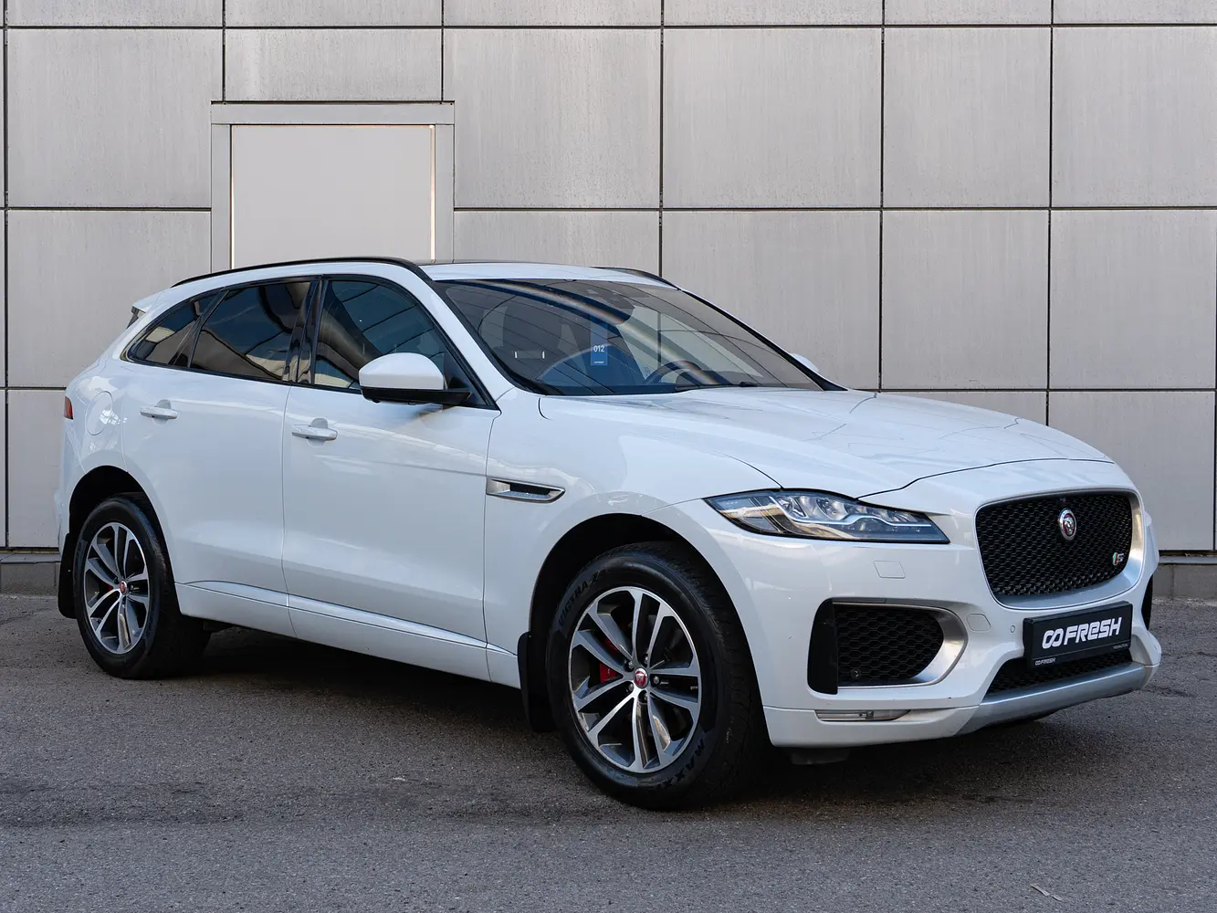 Jaguar