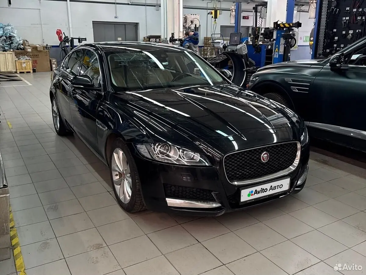 Jaguar