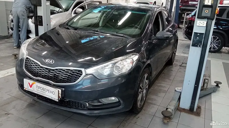 Cerato