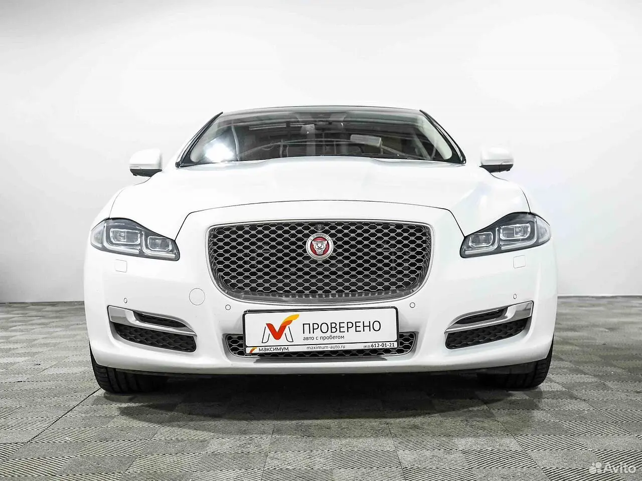 Jaguar