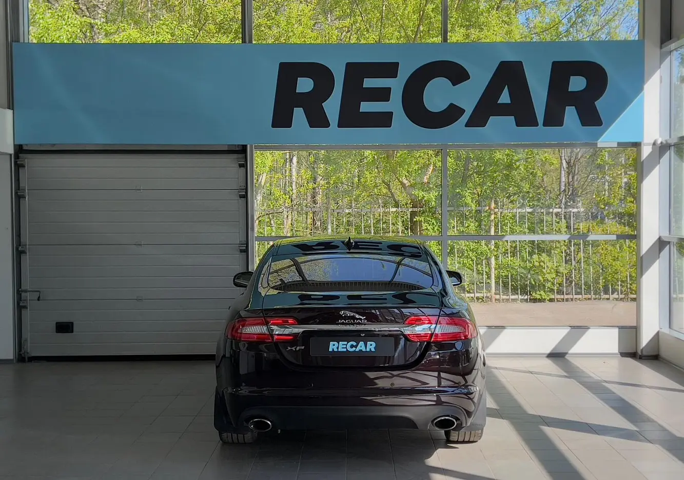 Jaguar