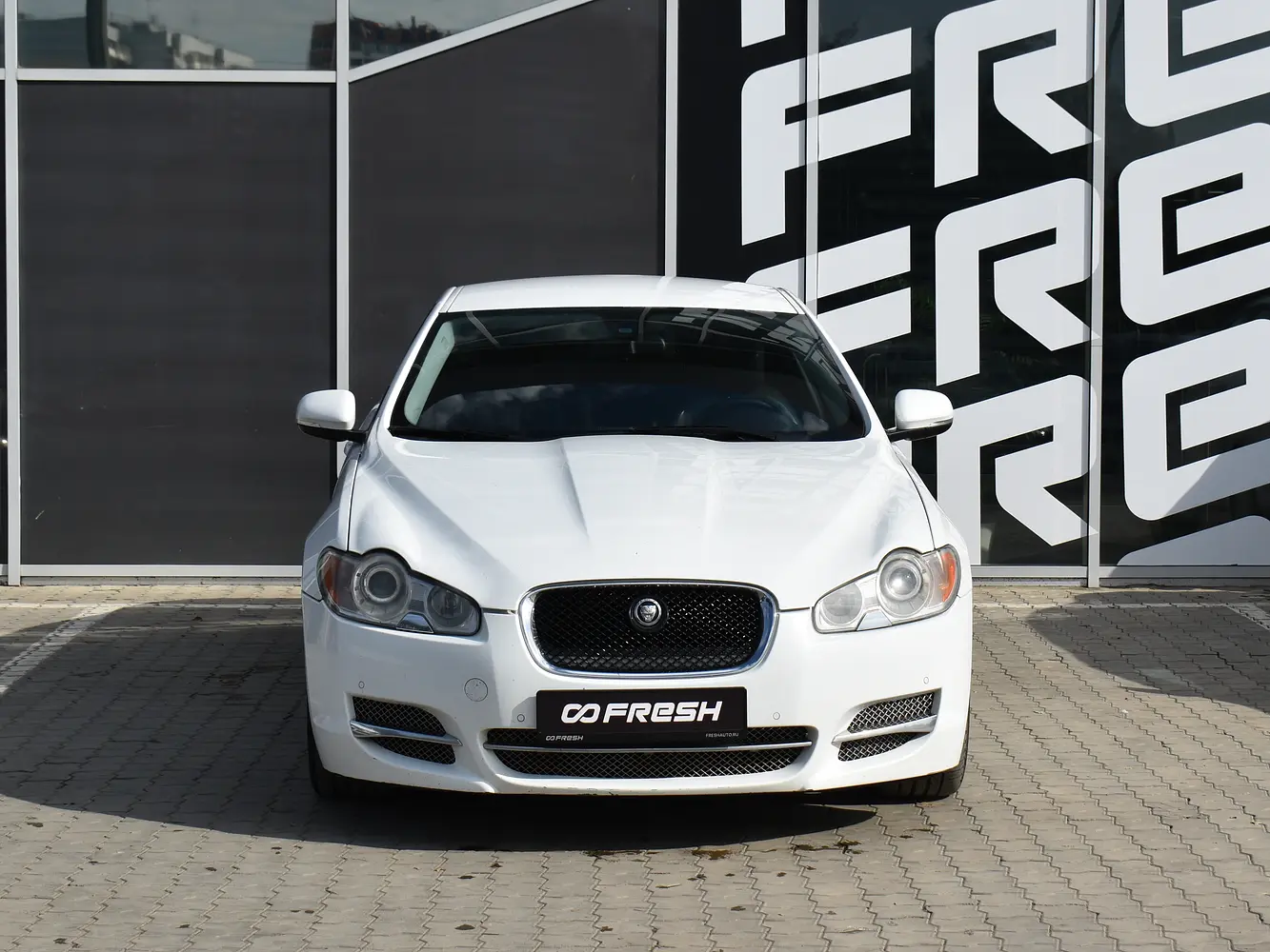 Jaguar