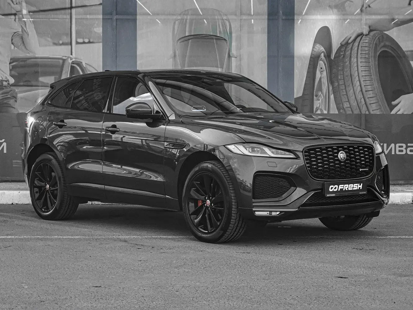 Jaguar