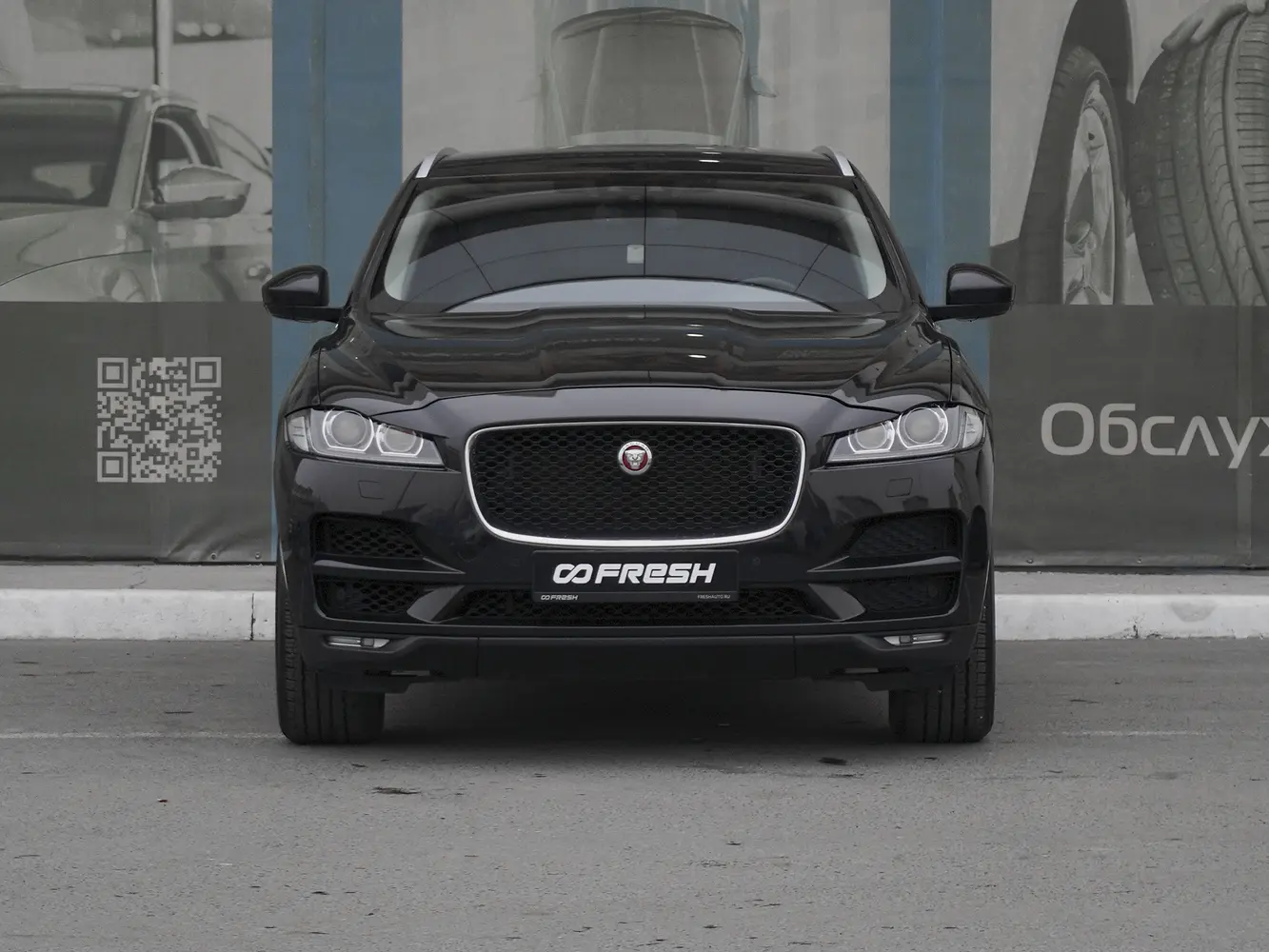 Jaguar