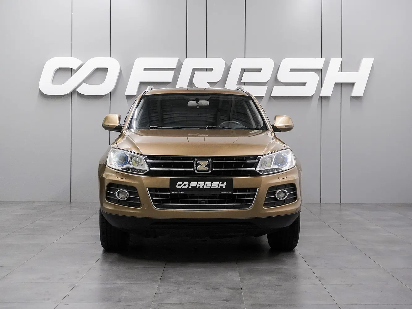 Zotye