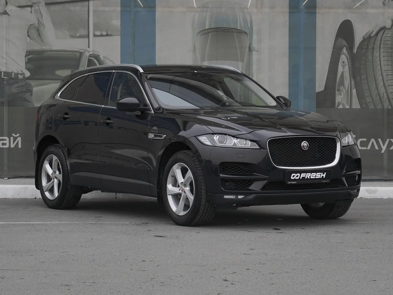 Jaguar