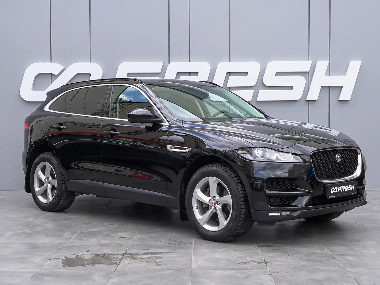 Jaguar