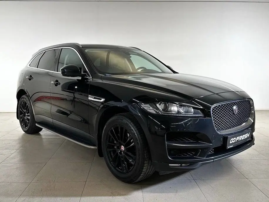 Jaguar