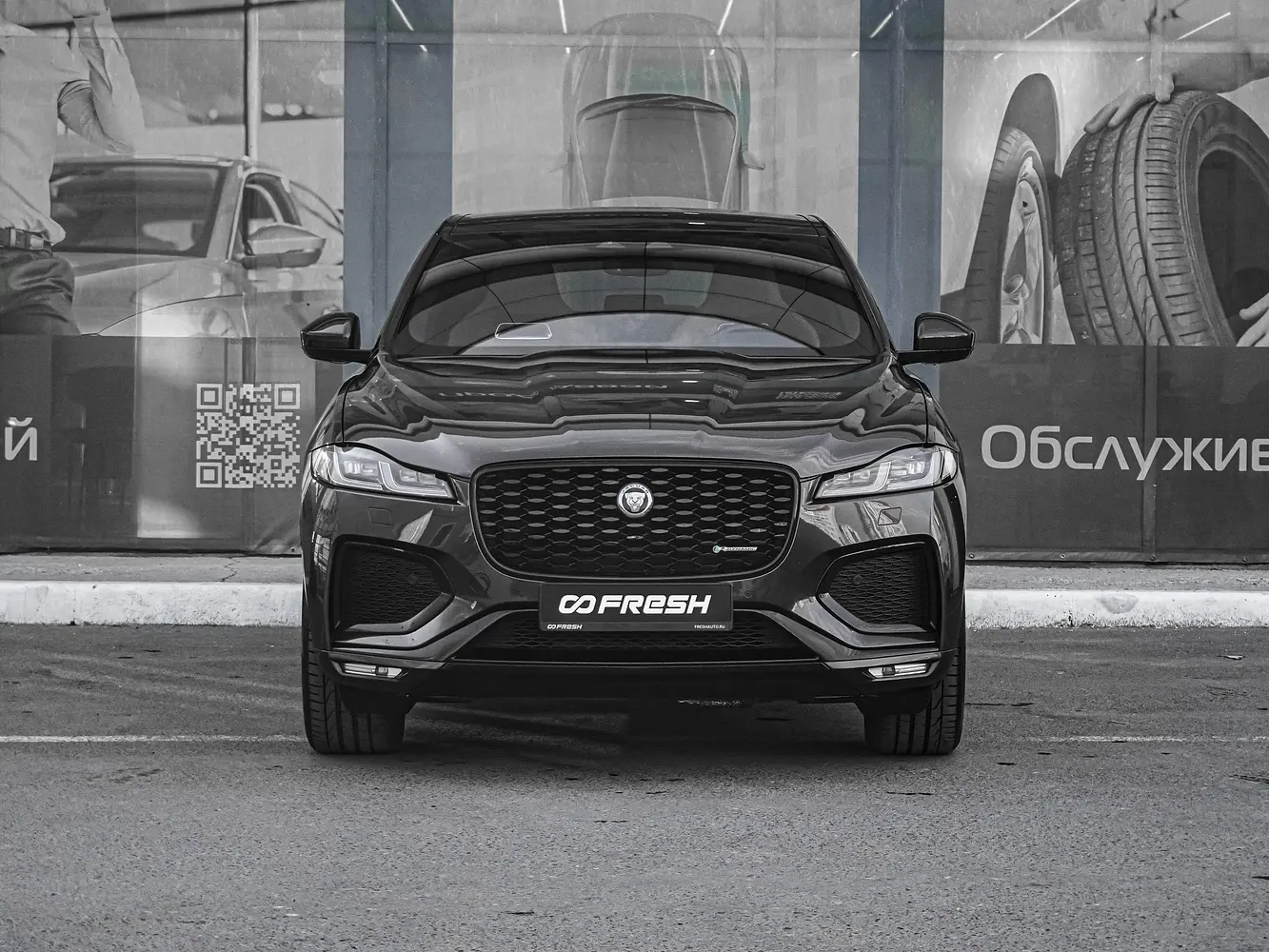 Jaguar