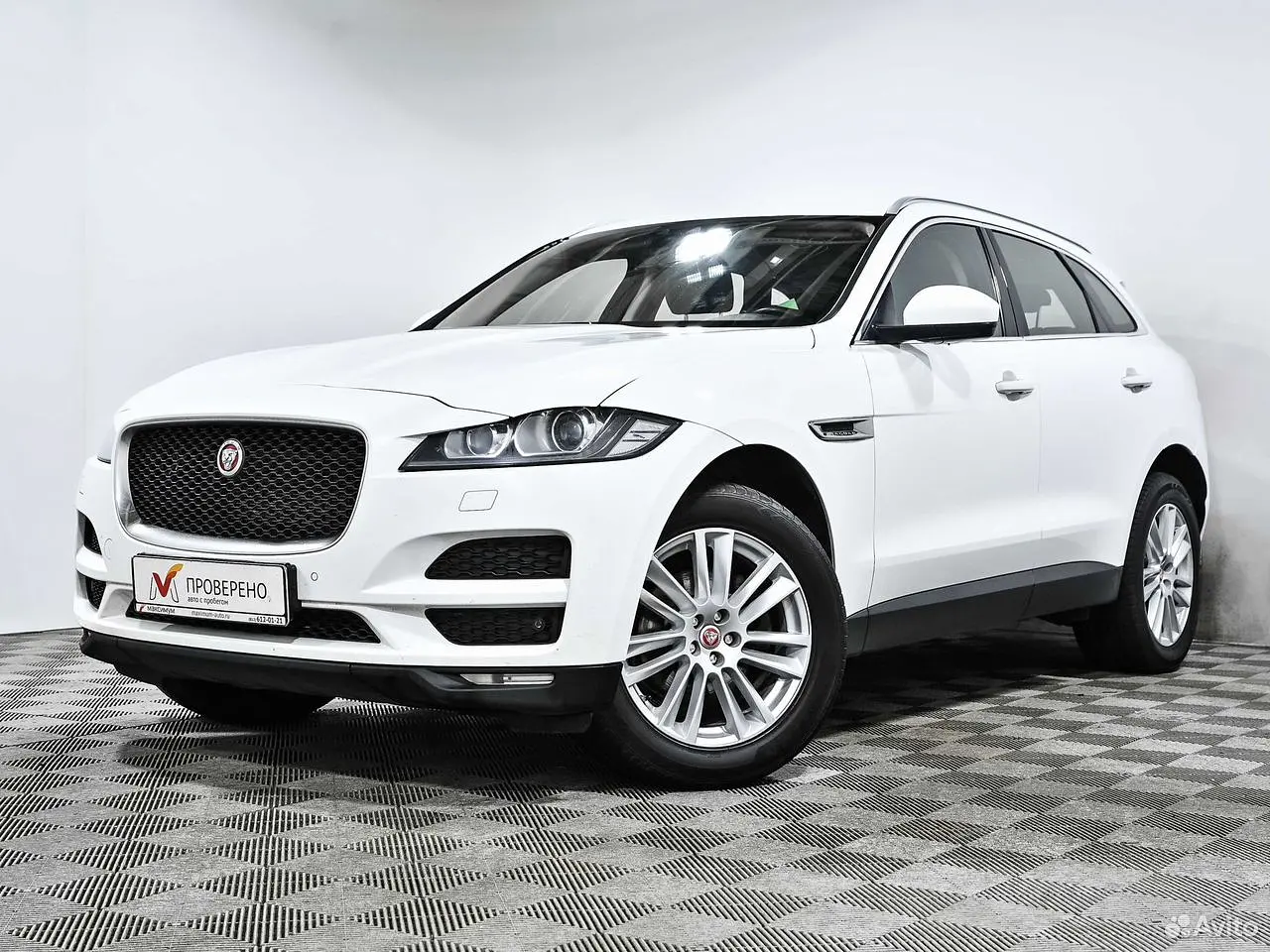 Jaguar