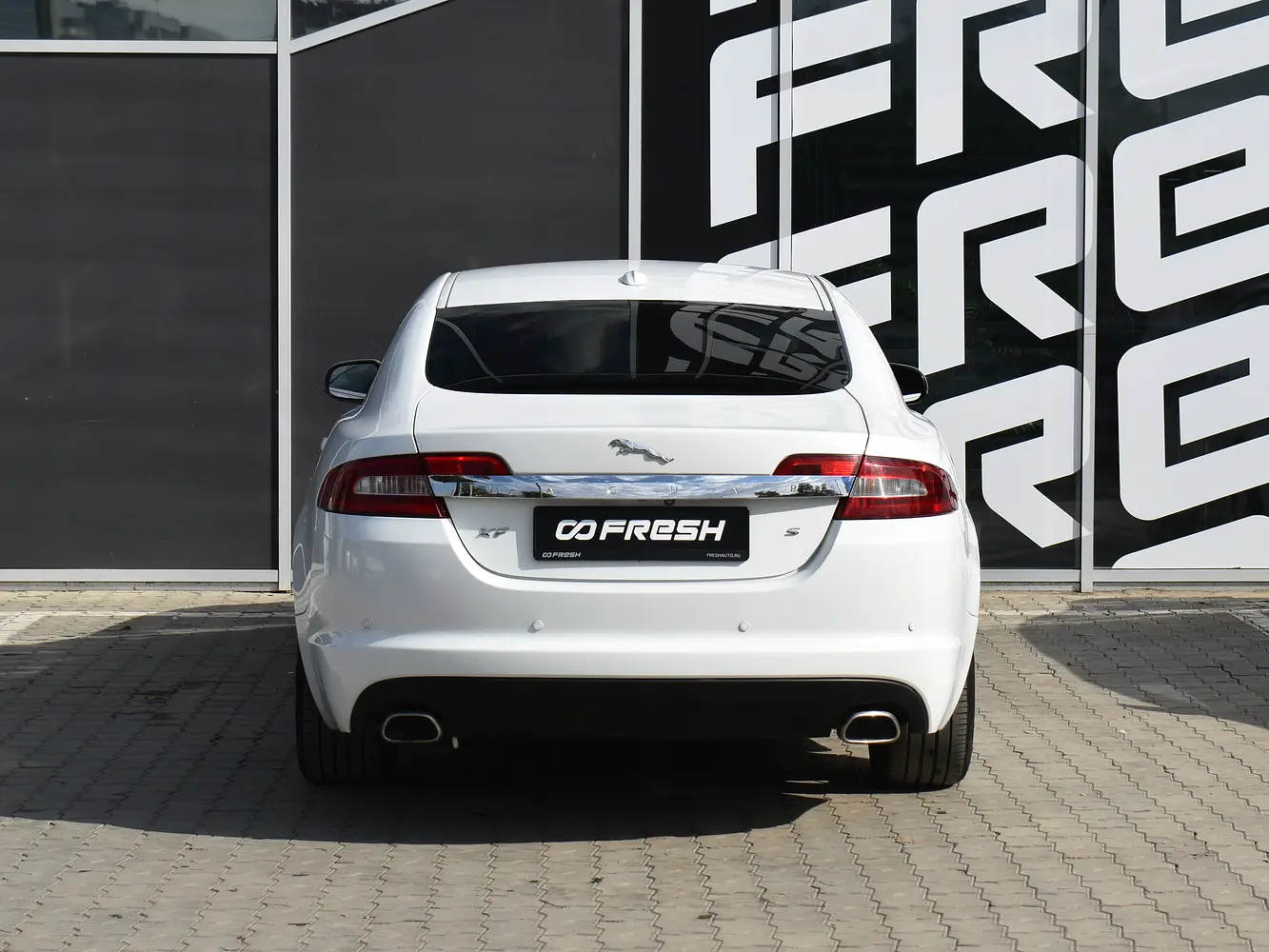 Jaguar