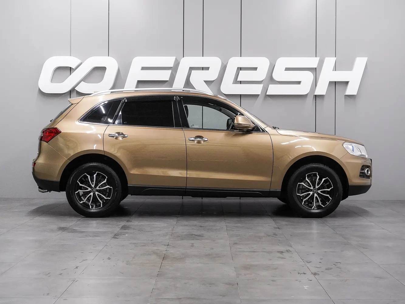 Zotye