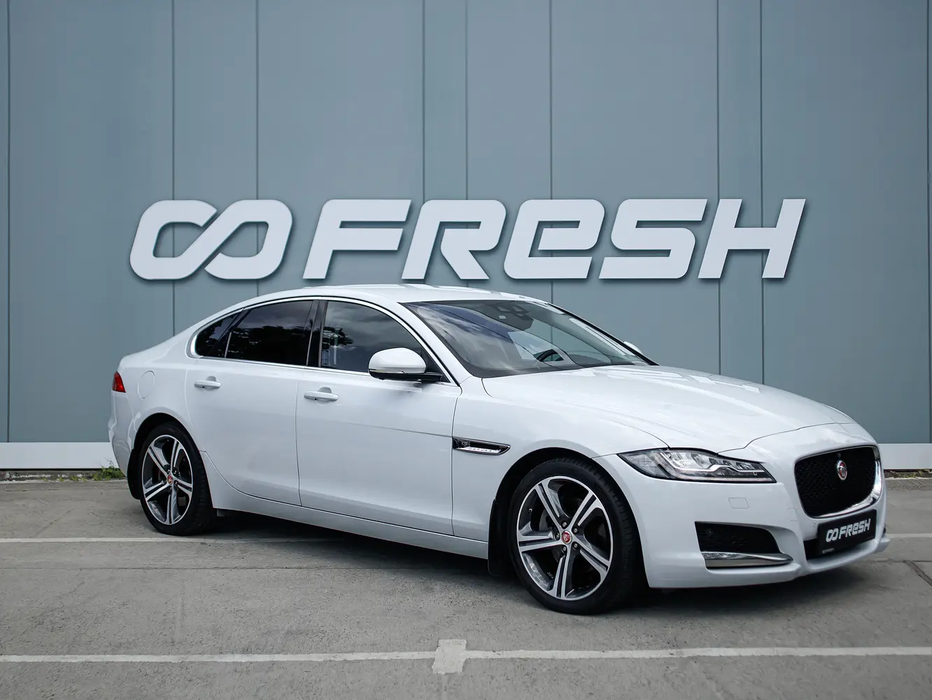 Jaguar