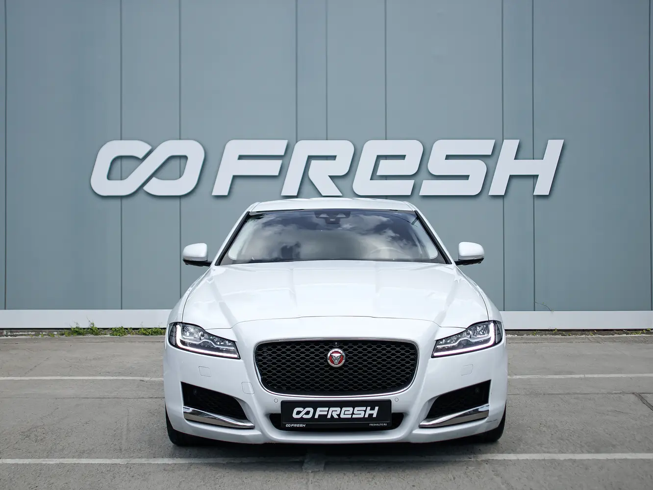Jaguar