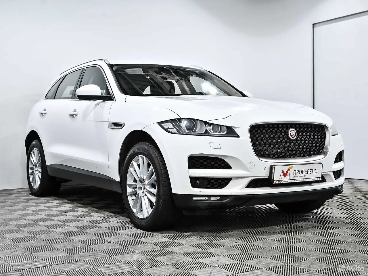 Jaguar