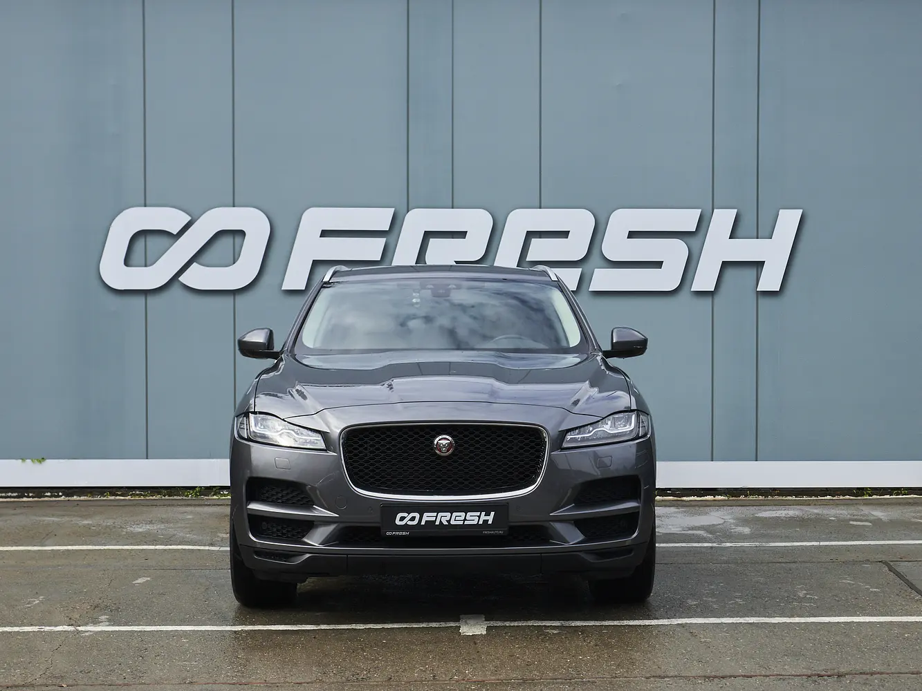 Jaguar
