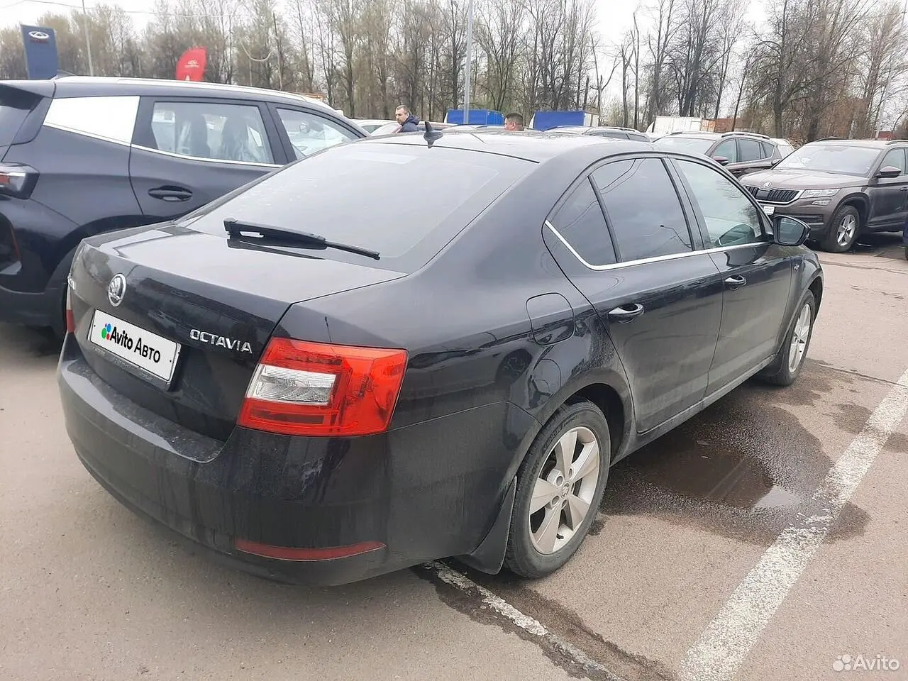 Skoda