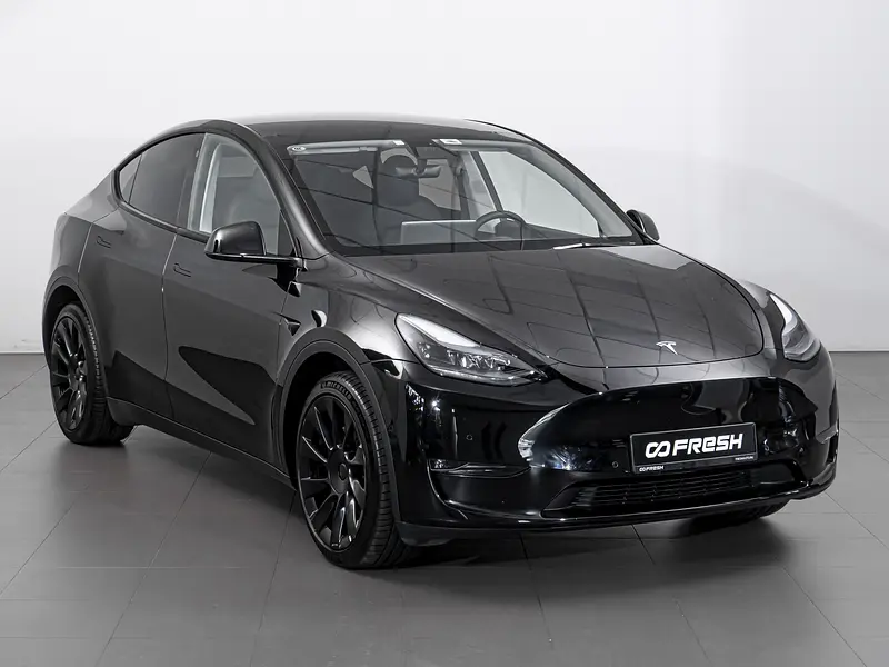 Model Y