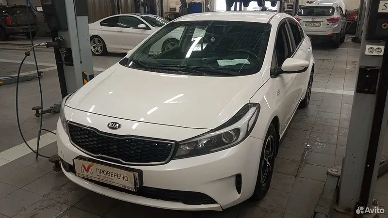 Cerato