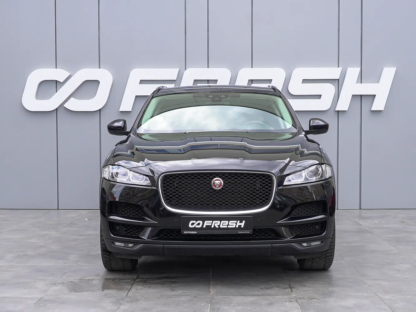 Jaguar