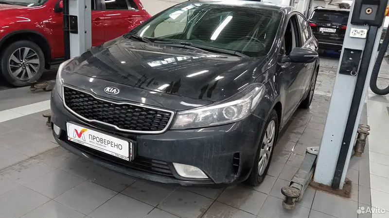 Cerato