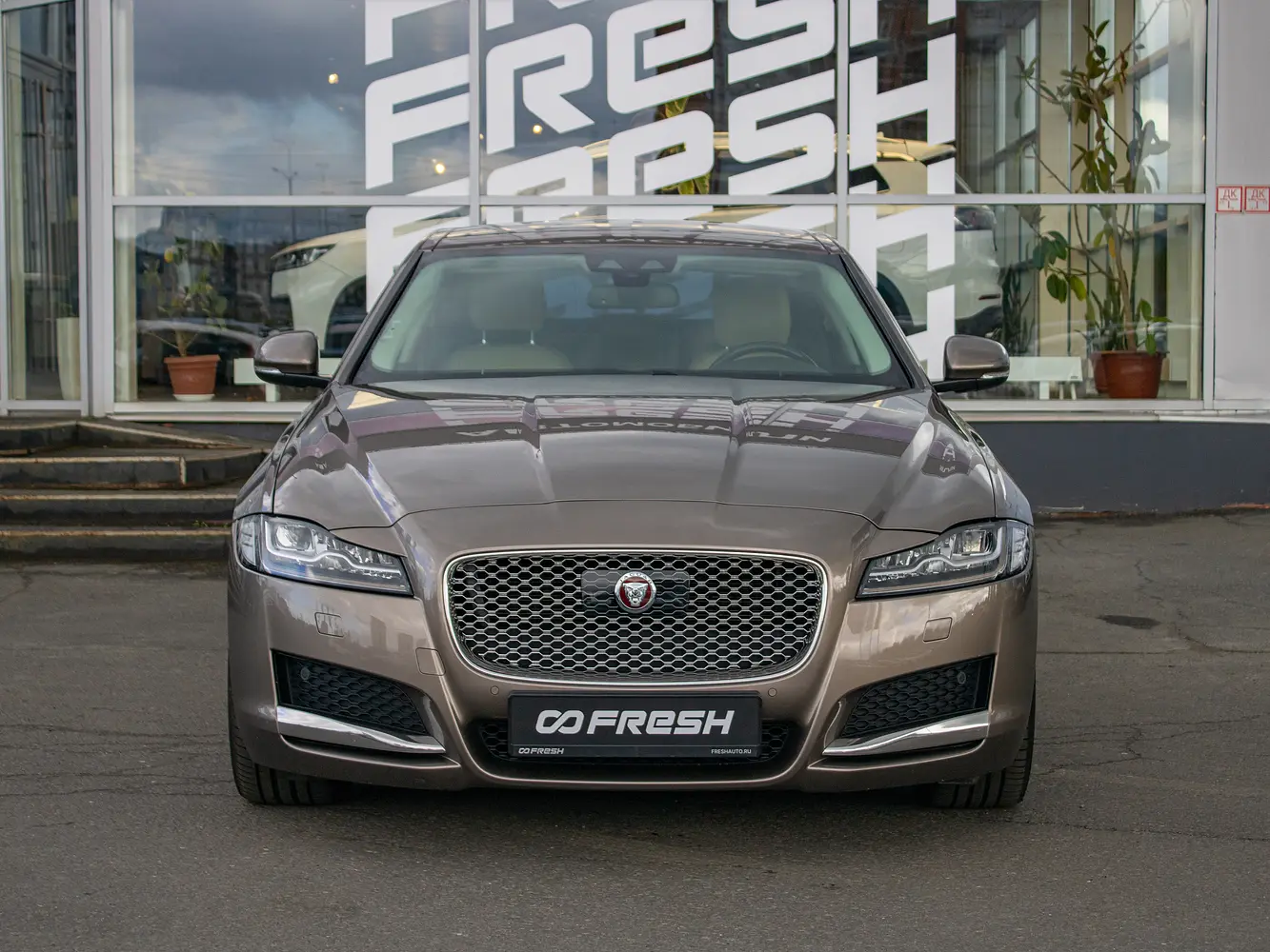 Jaguar