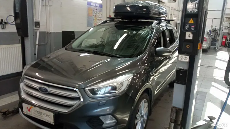 Kuga