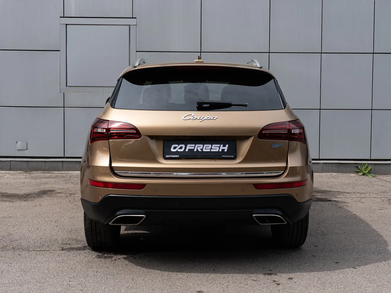 Zotye