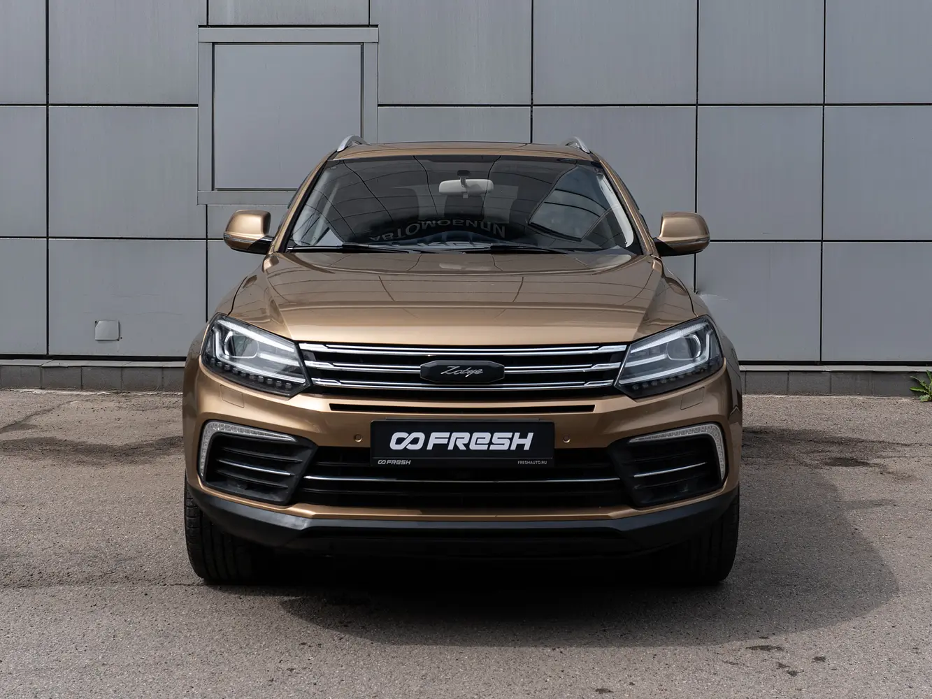 Zotye