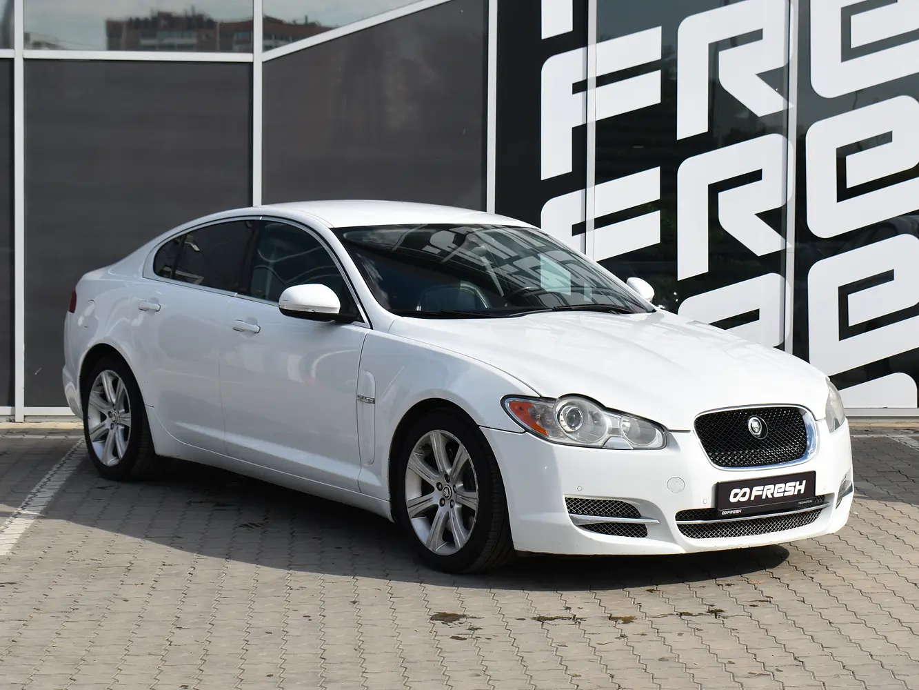 Jaguar