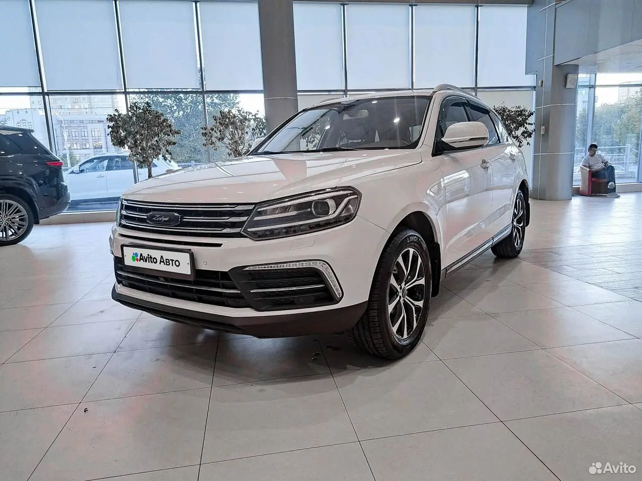 Zotye