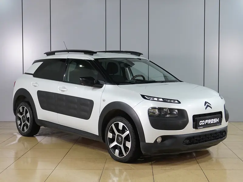 C4 Cactus