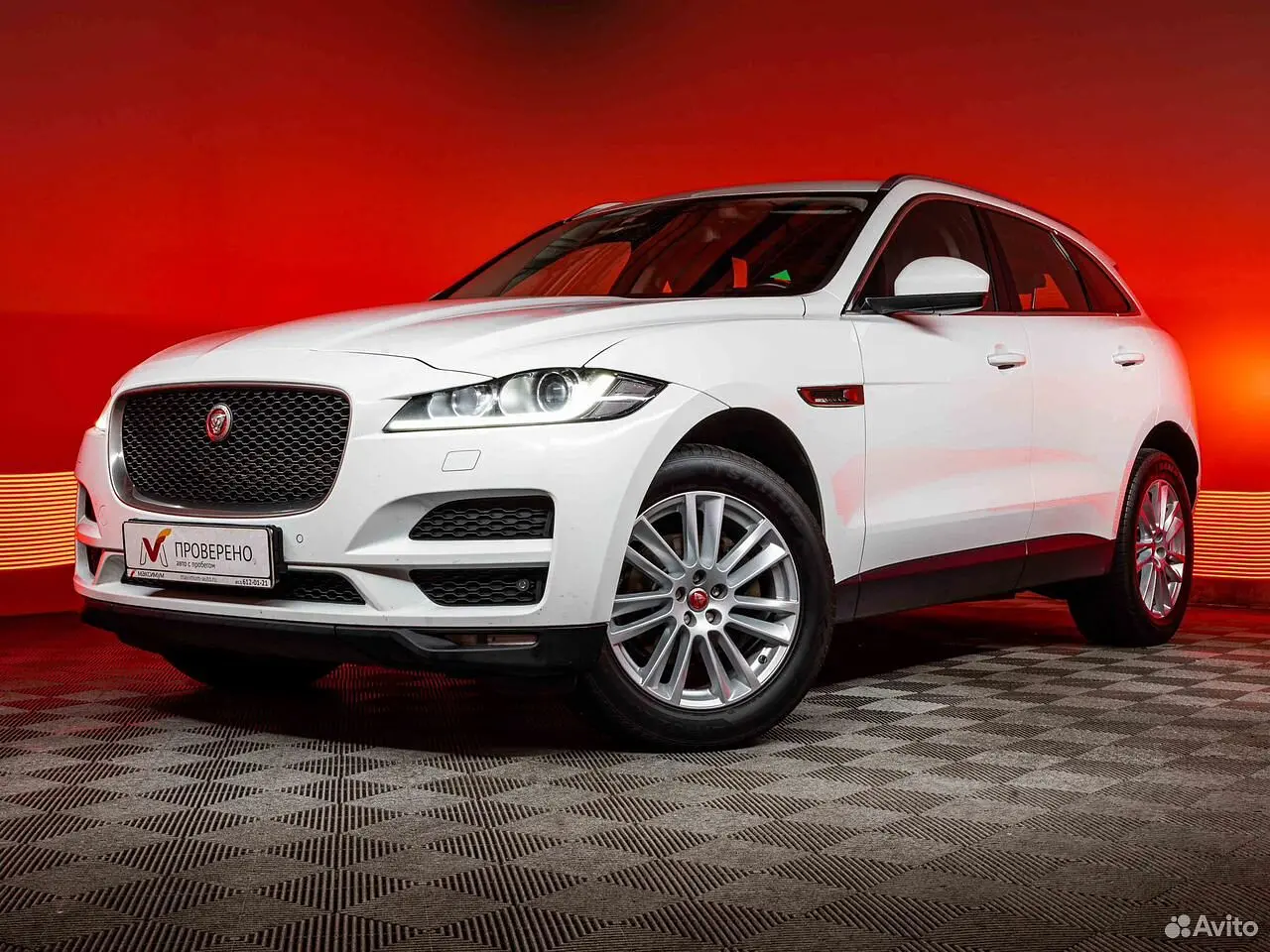 Jaguar