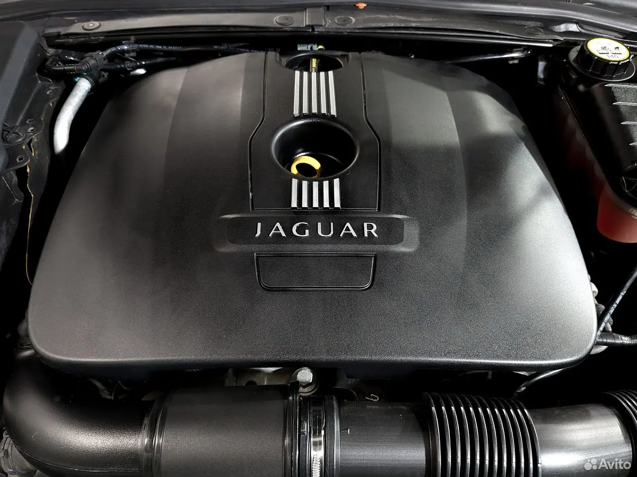 Jaguar