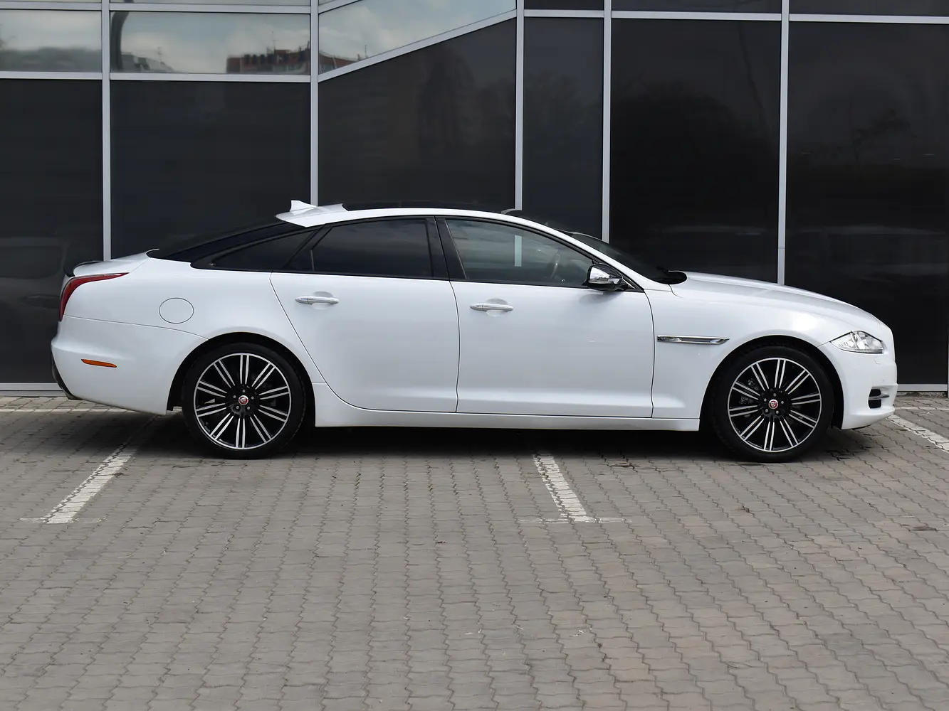 Jaguar