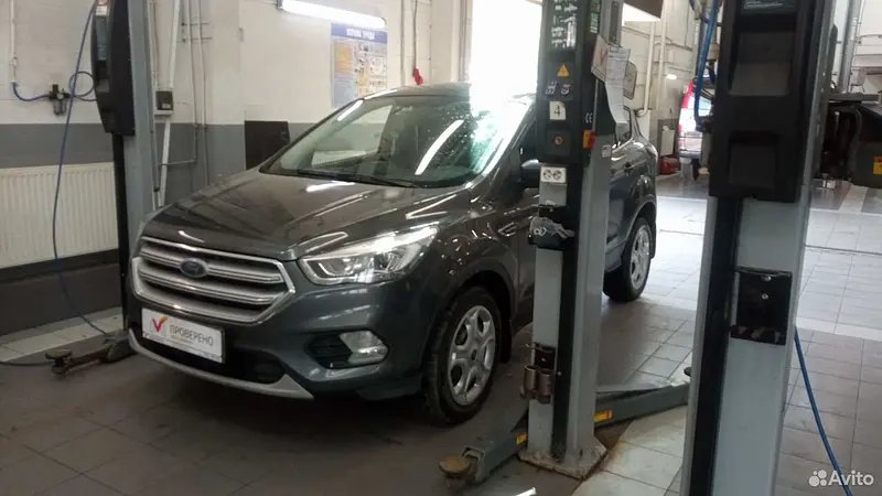 Kuga