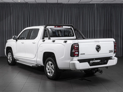 Great Wall Poer King Kong