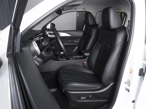 Great Wall Poer King Kong