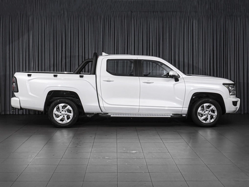 Great Wall Poer King Kong